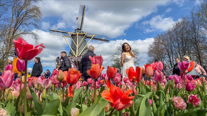 Нидерланды весенний парк Keukenhof