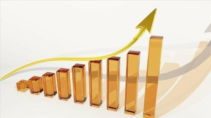 Argentina raises benchmark interest rate 300 points to 81%
