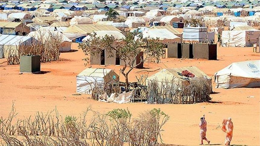 Mali : Plus de 36 000 déplacés internes enregistrés à Ménaka (Gouverneur)