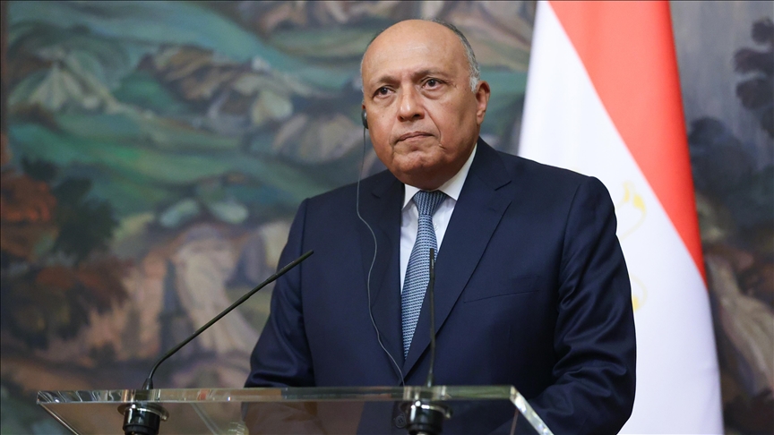 شكري وبيدرسون يبحثان خطوات تسوية أزمة سوريا