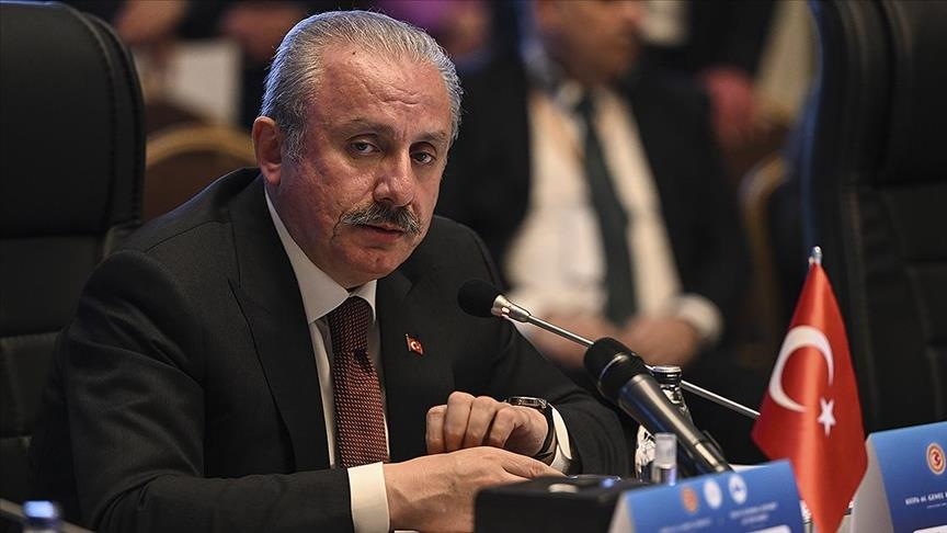 Спікер турецького парламенту закликає до припинення вогню між Росією та Україною