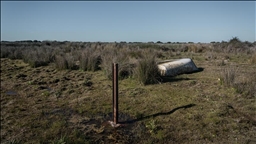 Spain’s Valencia registers driest spring since 1927