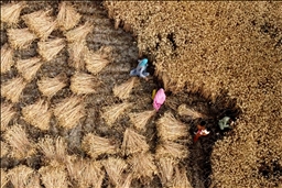 4.3M in Nigeria to face severe hunger between June, August: UN