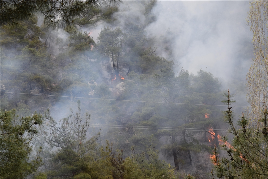 Entire province in Western Canada under state of emergency due to fires