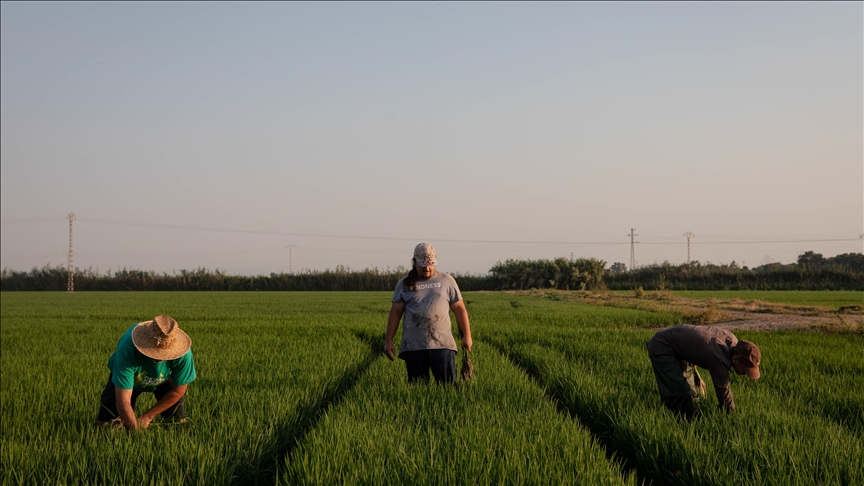 Amid drought, Spanish police arrest 26 farmers for illegal water use