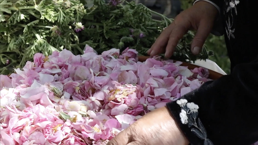 Floral waters: Ancient tradition in Tunisia that outshines modern fragrances