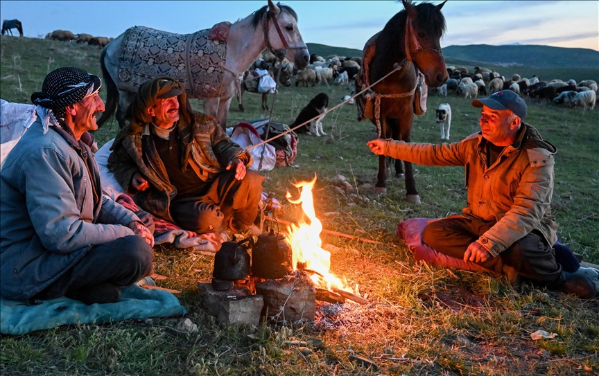 Нормализуется жизнь в очищенных от террористов районах Турции