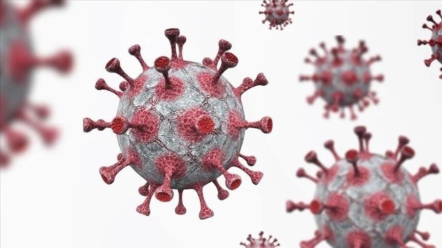 L’Afrique du Sud face à une épidémie d’oreillons