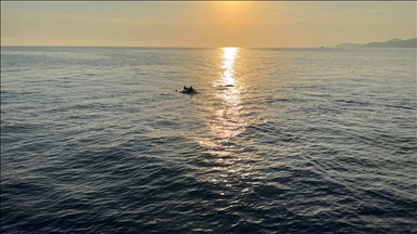 دولفينان يرافقان سياحا في جولتهم البحرية بسواحل أنطاليا