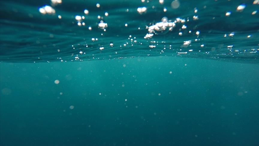 New record for longest time living underwater reached by Florida man