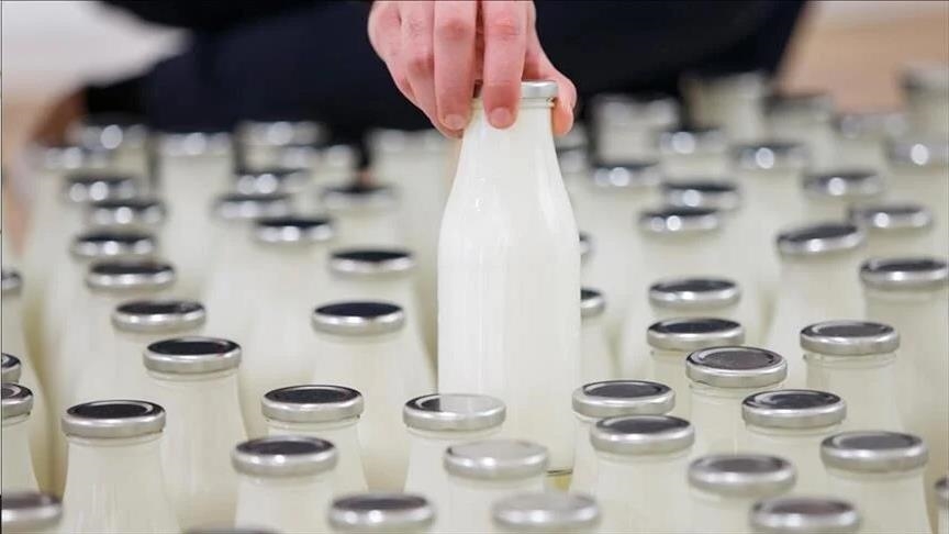 Algérie : Création d’une première usine de production de lait et de farine pour bébé