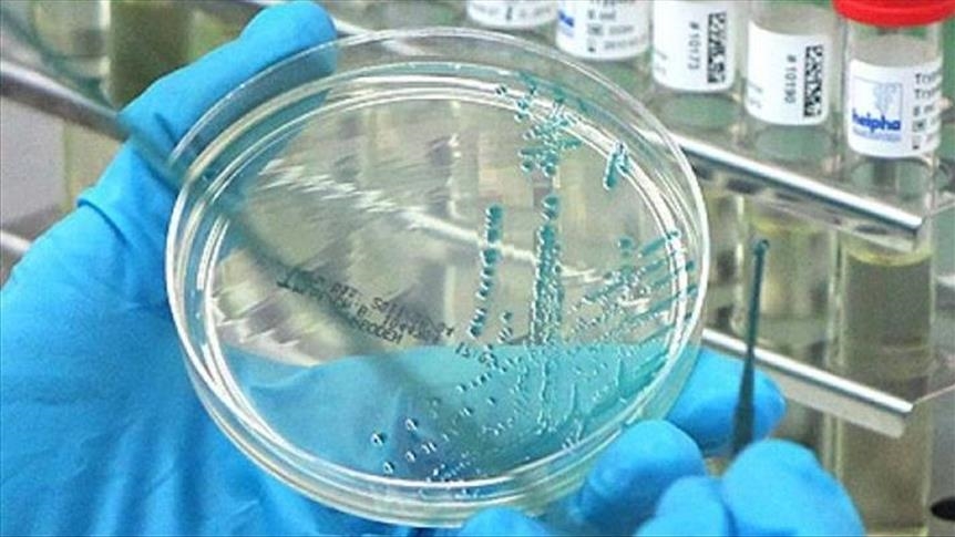 Bird flu detected in 2 people in UK