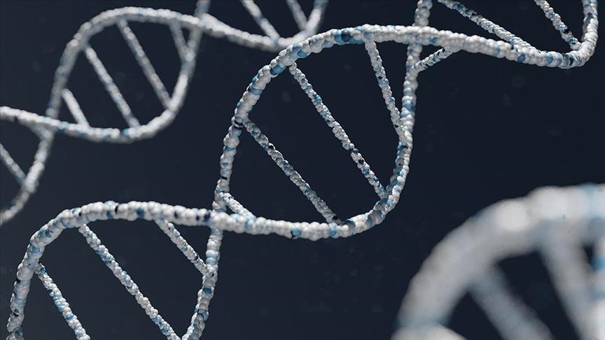 Human ‘eDNA’ detectable throughout environment, study finds Human ‘eDNA’ detectable throughout environment, study finds