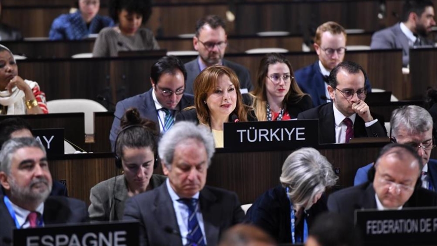 Türkiye'nin girişimiyle "İslamofobi" terimi, UNESCO'nun ayrımcılık ve ırkçılıkla ilgili karar tasarısında yer alacak