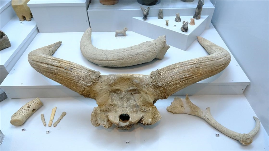 Kırklareli Müzesi 8 bin 200 yıllık tarım objeleriyle insanlık tarihine ışık tutuyor