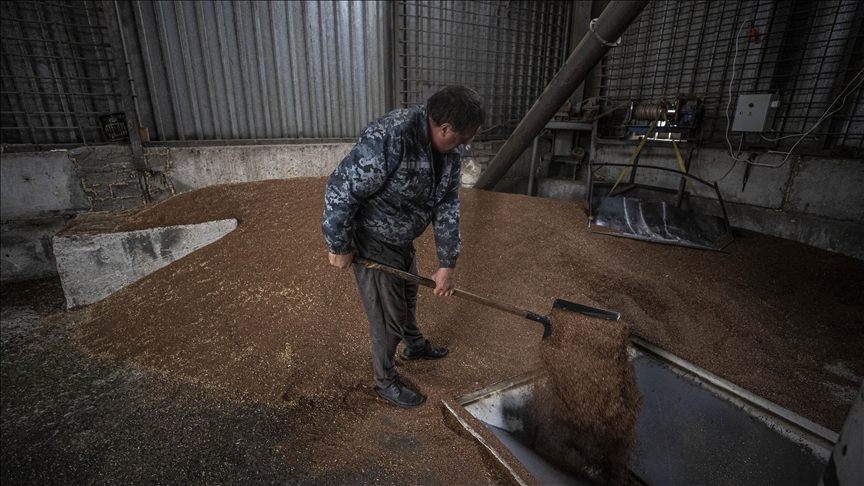 Black Sea grain deal keeps global food supplies flowing: WFP