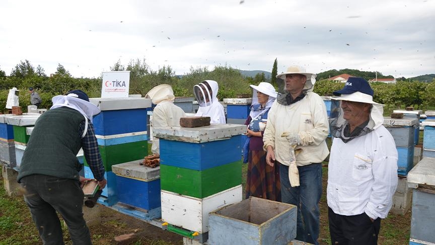 "تيكا" التركية تقيم دورة لتربية النحل في الجبل الأسود