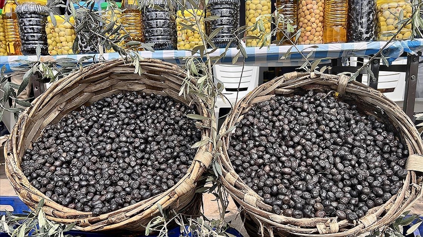 Turkish city Bursa's Gemlik olive to get EU recognition