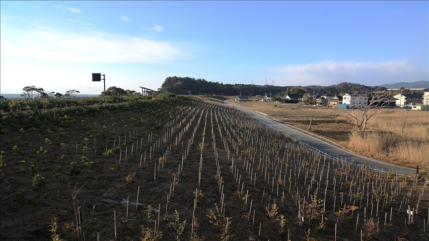 South Korean experts inspect Japan's Fukushima power plant