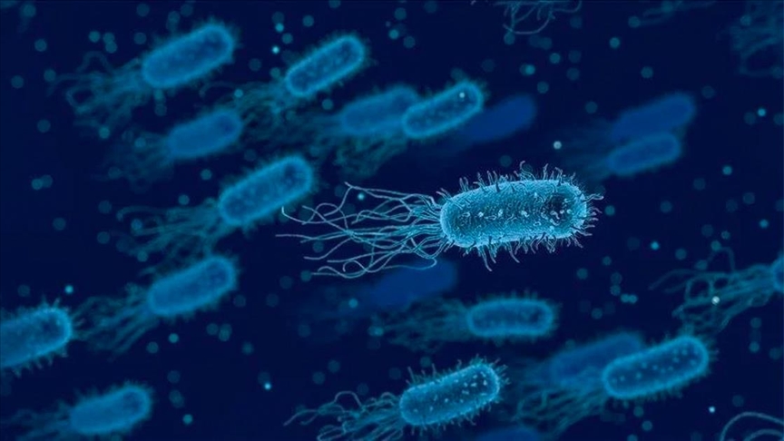 Shkencëtarët me inteligjencë artificiale zhvilluan një antibiotik të ri kundër superbaktereve