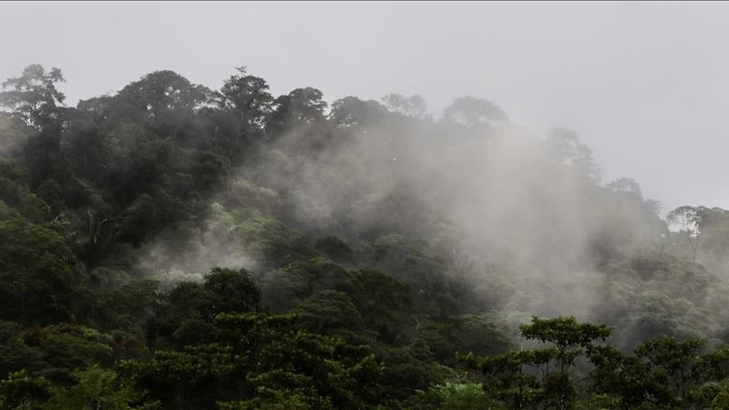 Wildfire season worldwide now starting earlier, lasting longer due to global warming