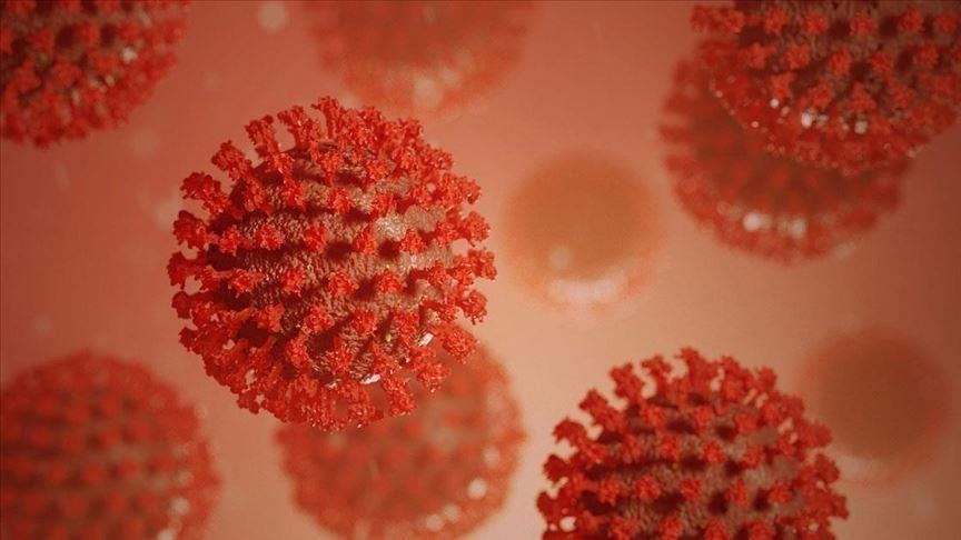 La Tanzanie décrète la fin de l’épidémie de maladie à virus Marburg