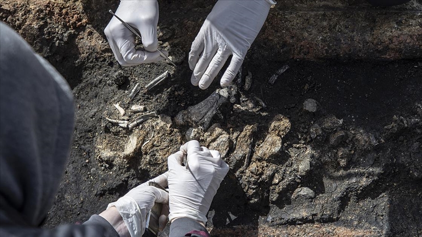 In South Africa, scientists have discovered the world’s oldest-known burial site