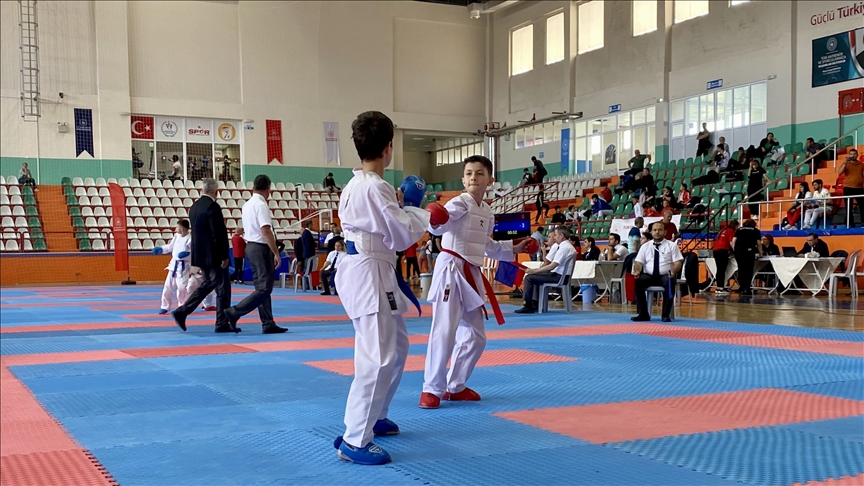 В Кыршехире проходит чемпионат Турции по карате