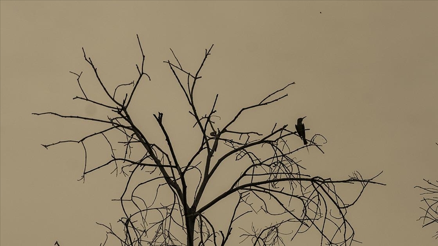 Yaşadığı köyü maden tahribatından kurtarıp biyoçeşitliliği yeniden sağladı