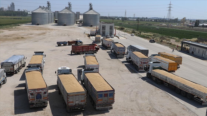 Çukurova'da çiftçiler, TMO'nun alım merkezi olan lisanslı depolara yöneldi 