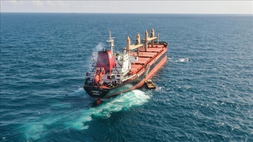 В рамках «зерновой сделки» вывезено более 31,9 млн тонн агропродукции