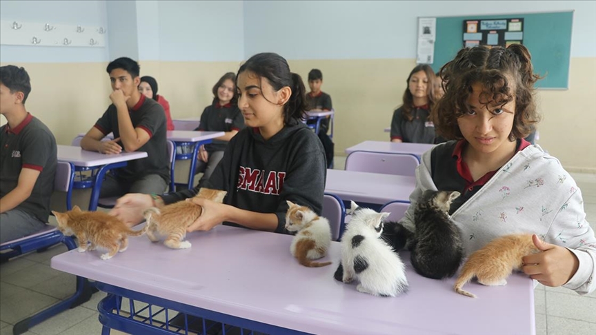 Kedi "Sütlaç" ve yavruları lisenin yeni üyeleri oldu