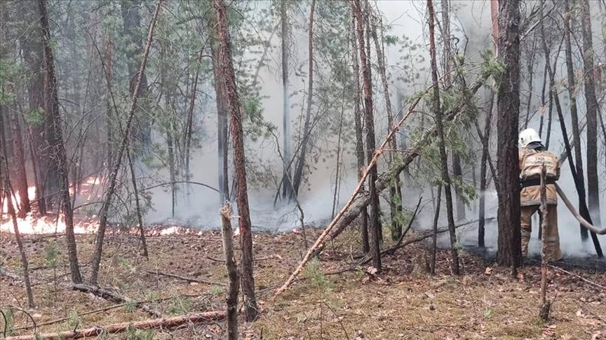 Полная ликвидация лесного пожара в Казахстане займет 4-5 дней - Кульшимбаев