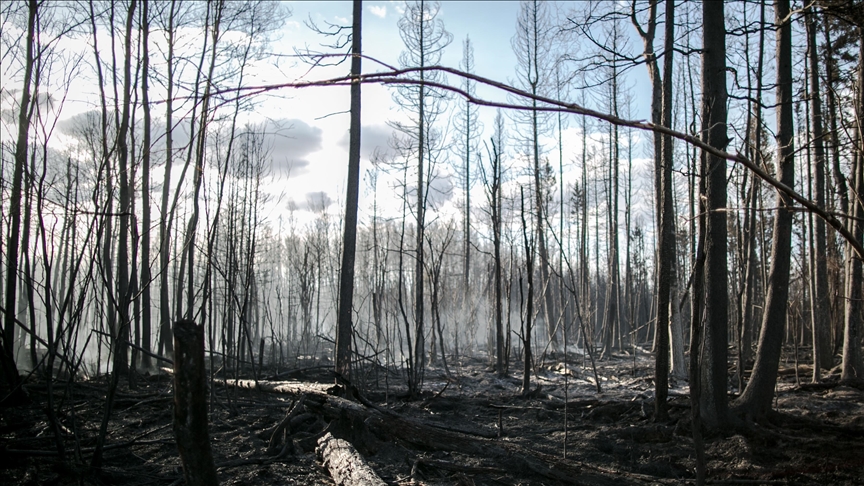 SAD satelitskim podacima pomaže u otkrivanju požara u Kanadi