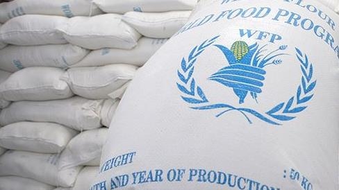 World Food Program, Egypt launch humanitarian corridor to conflict-ridden Sudan