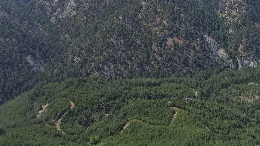 Muğla'da bazı bölgelerde ormanlık alanlara giriş yasağı getirildi
