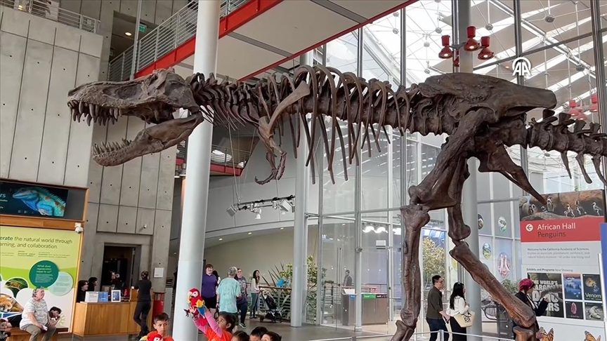 Kalifornijska akademija nauka: Izložba dinosaura u prirodnoj veličini