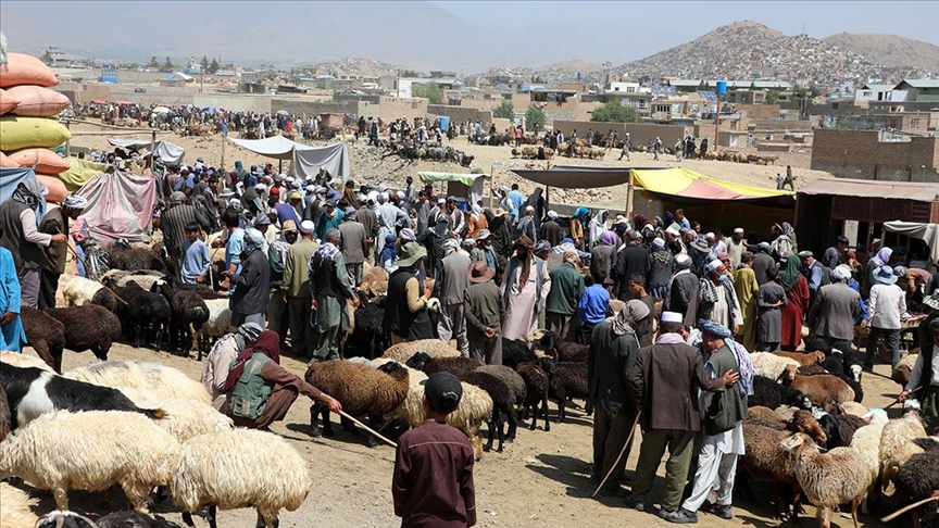 Afganistan'da kurban satışları kuraklık ve ekonomik durgunluk gölgesinde geçiyor