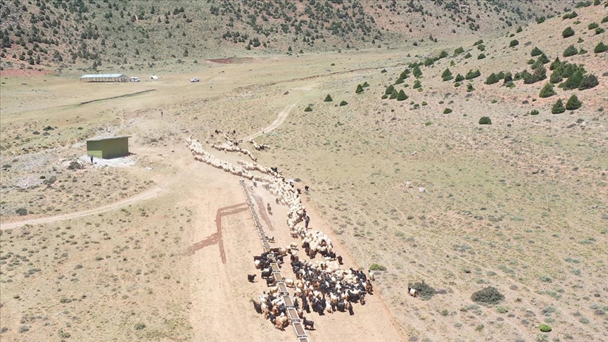 Van'da hayvanların otlatıldığı yayla güneş enerjisiyle suya kavuşturuldu