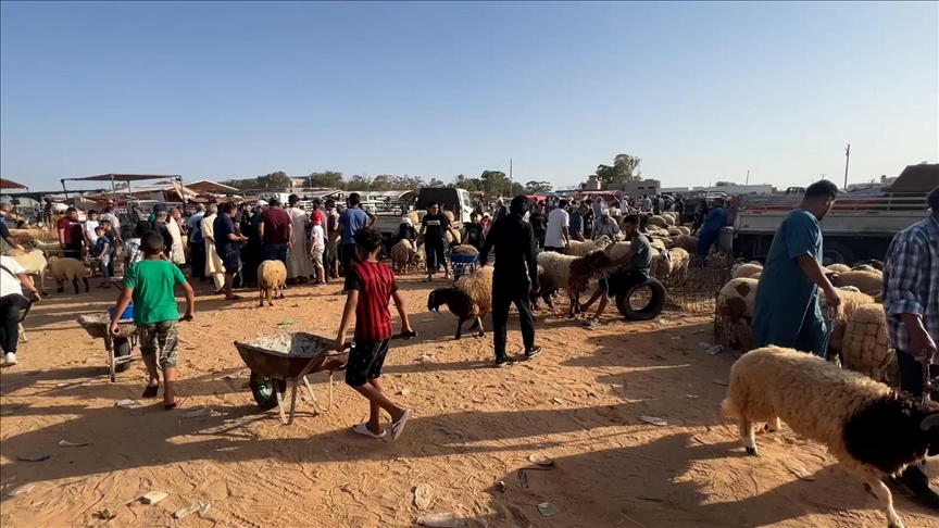قبيل العيد.. أسعار الأضاحي ثقيلة على الليبيين (تقرير)