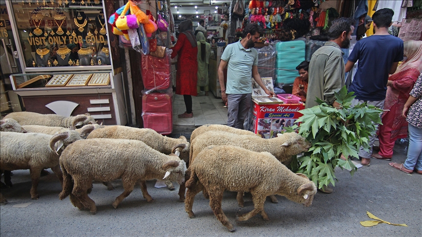 Eid in Kashmir: ‘Our food brings us together’