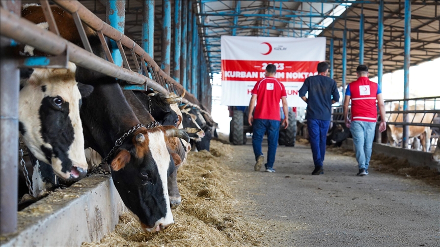 Turkish Red Crescent distributes meat to 3,000 Yemeni families on Eid Al-Adha