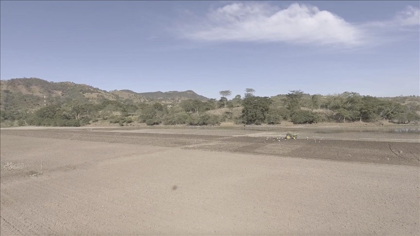 El Salvador's farmers suffer extreme drought due to El Nino