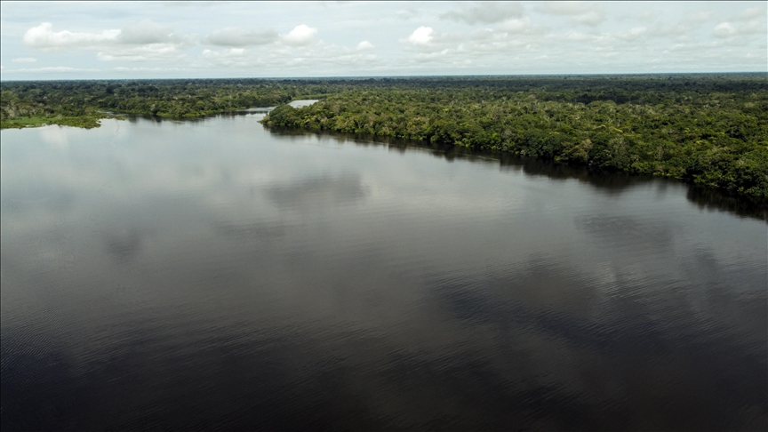 Deforestation in Brazil’s Amazon region drops nearly 34% in Lula's first 6 months