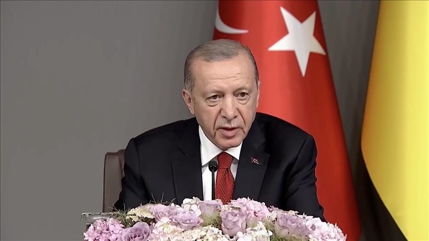 أردوغان: أوكرانيا تستحق عضوية الناتو 