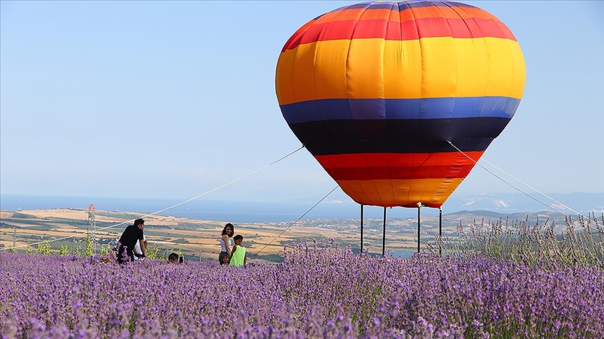 Tekirdağ'da lavanta tarlaları çok sayıda yerli ve yabancı turisti misafir etti 