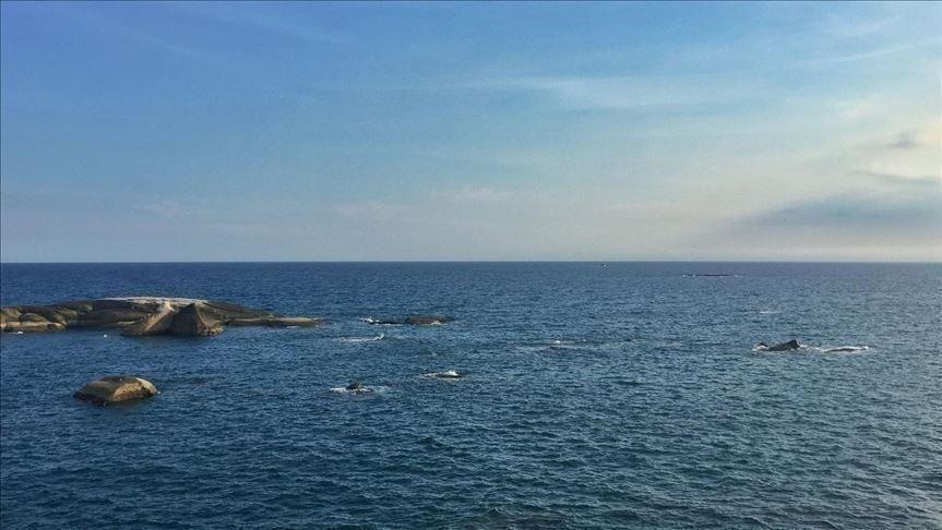 Top UN court agrees with Colombia in maritime border dispute against Nicaragua