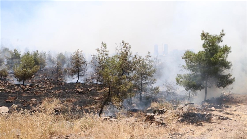 Şanlıurfa'da çıkan orman yangını söndürüldü