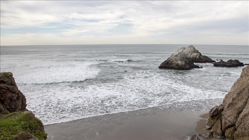 Un Australien et son chien survivent à un voyage de 2 mois dans l'océan Pacifique
