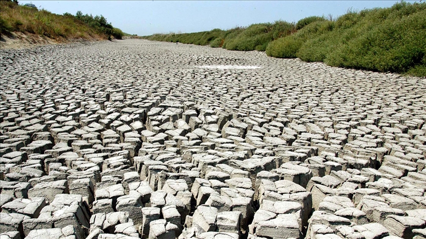 France threatened by drought as heat waves sweep through Europe